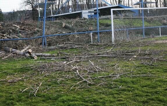 kácení stromů pod lipou 3