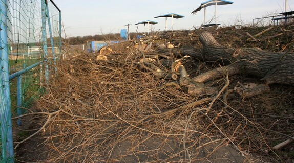 kácení stromů pod lipou 4