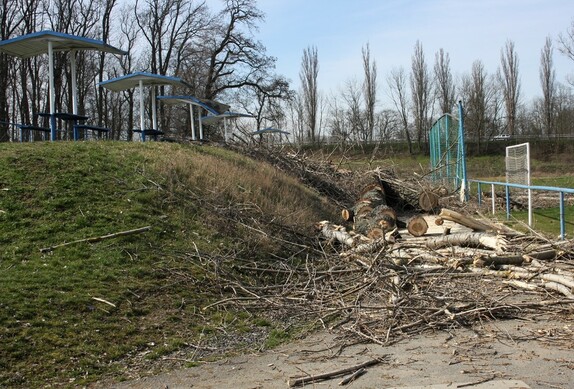 kácení stromů pod lipou 5