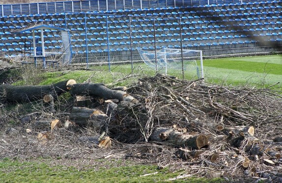 kácení stromů pod lipou 6