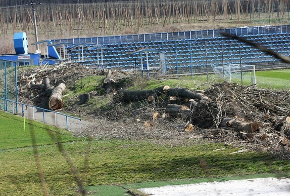 kácení stromů pod lipou 7