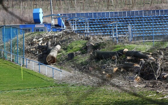 kácení stromů pod lipou 8