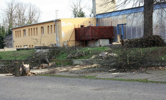 kácení stromů pod lipou 12