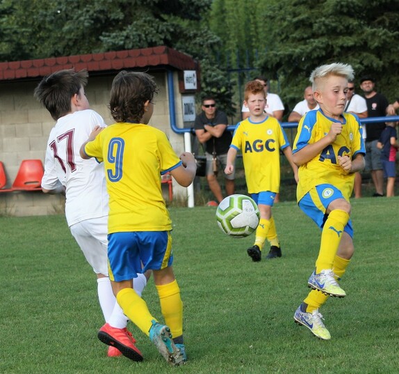 přípravky V Rci 10