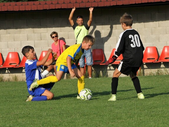přípravky V Rci 11