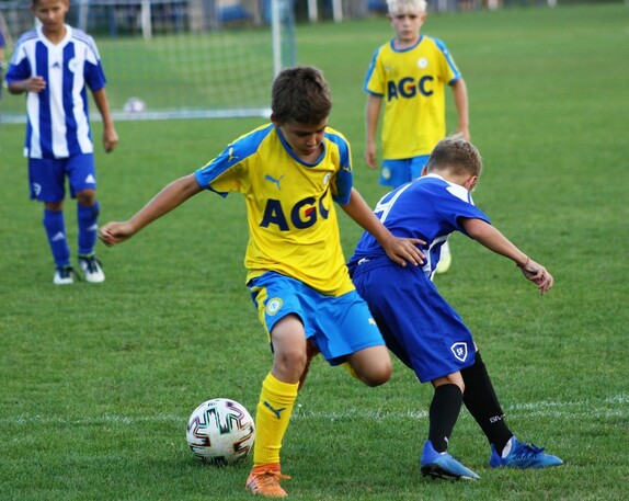 přípravky V Rci 15