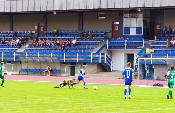 Liga ml. žáků Vlašim - Rce 8